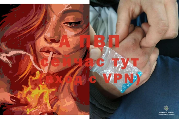 spice Богданович