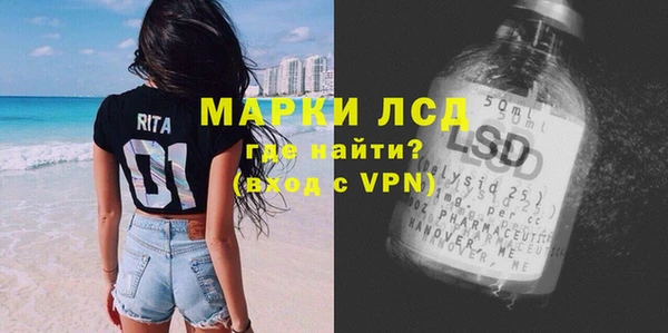 spice Богданович